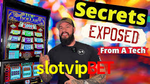 Programa VIP slotvipbet